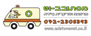 מסתובב-וט