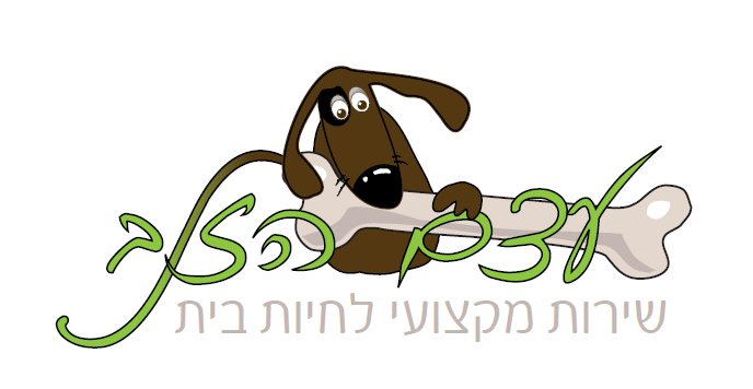 עצם הזנב