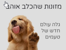 פט פלוס
