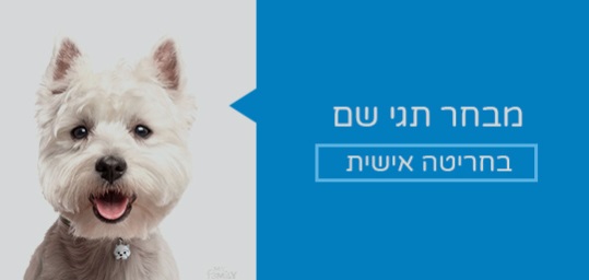 פט פלוס
