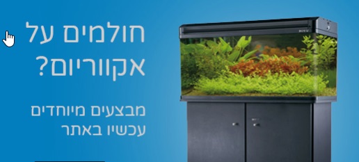 פט פלוס